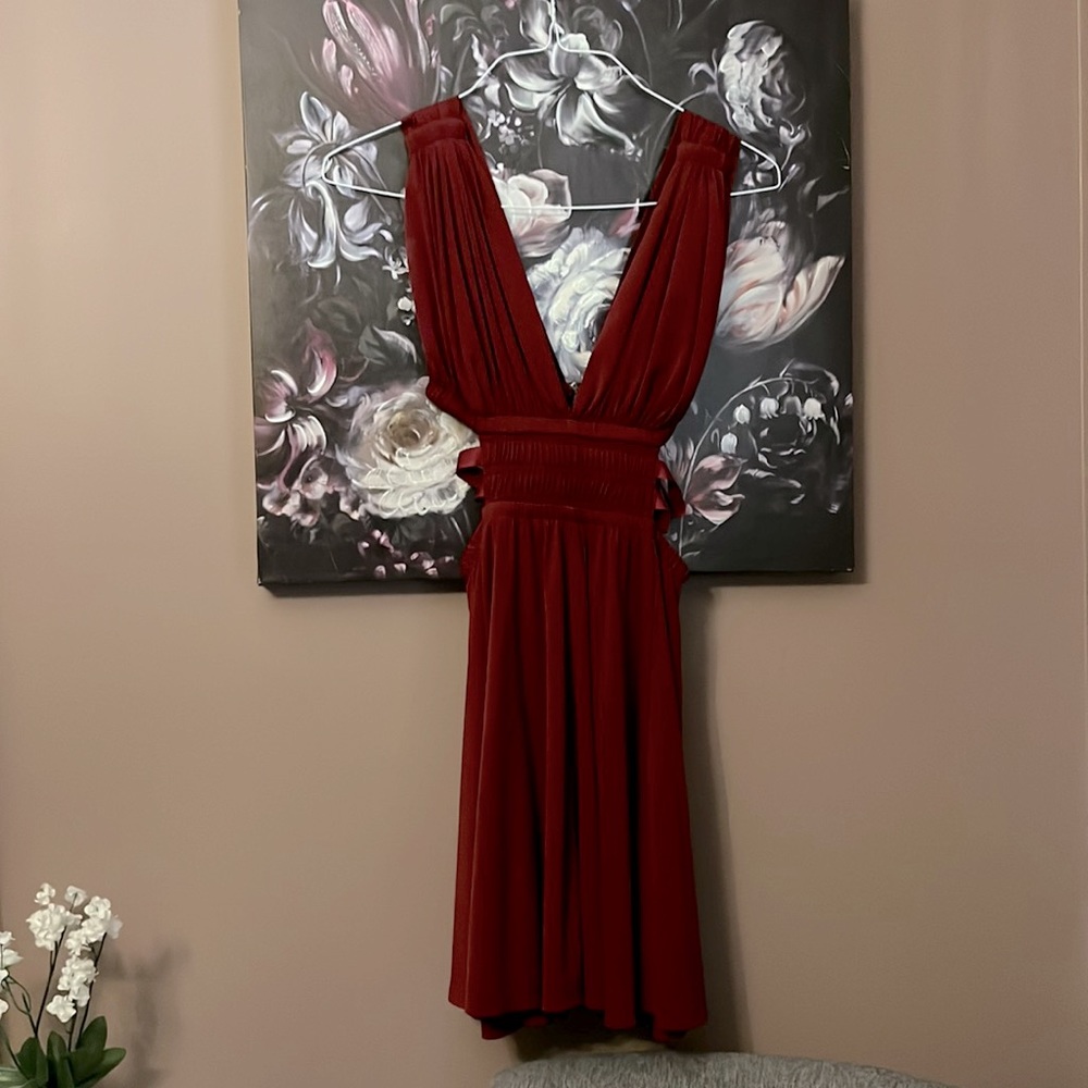 Express Burgundy Dress